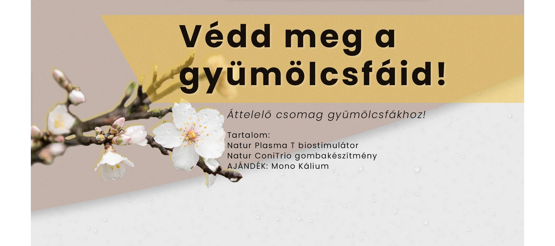 Áttelelő csomag gyümölcsfákhoz!