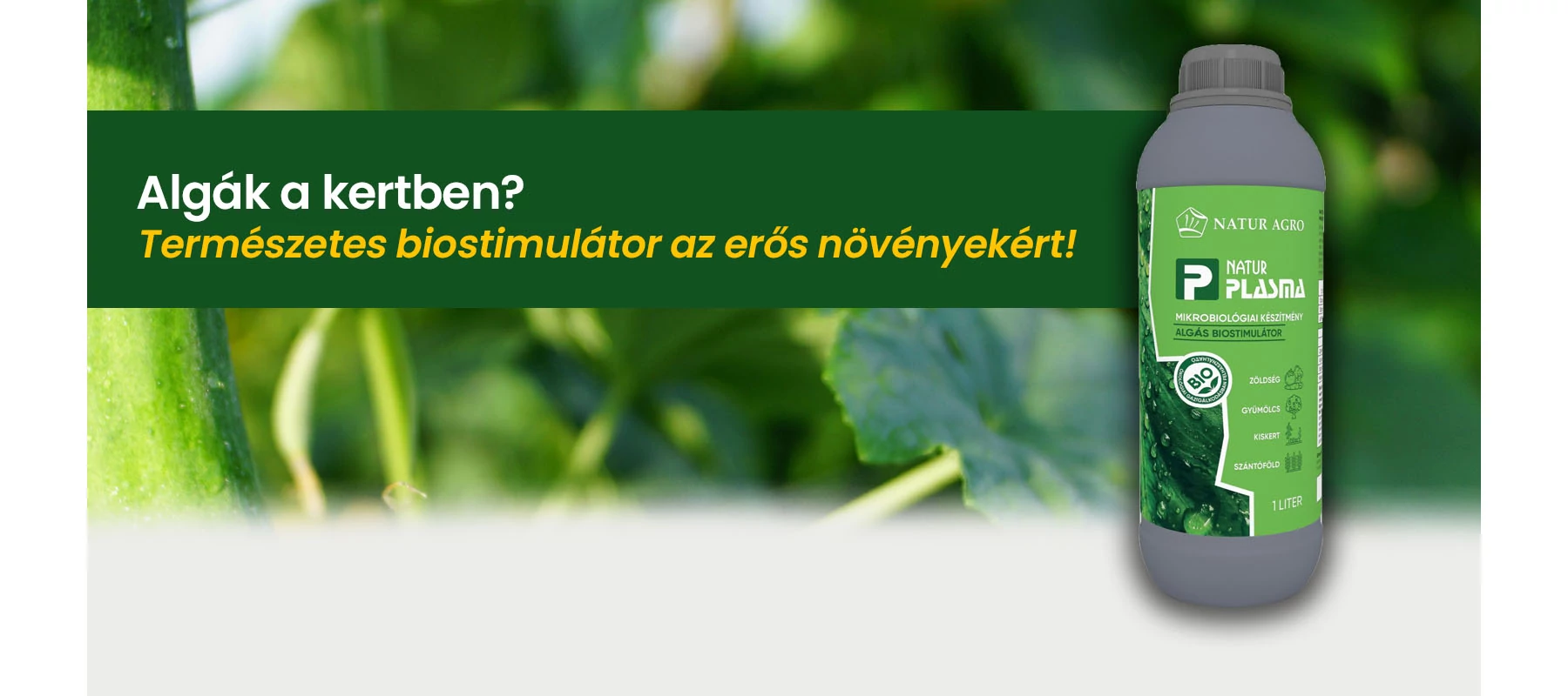 Algák a kertben?